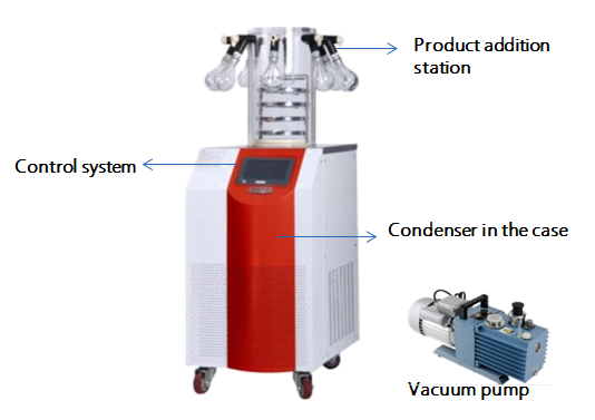 manifold freeze dryer
