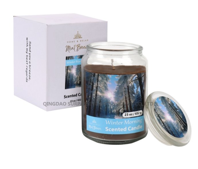 C24G0010 glass scented candle Citronella candle