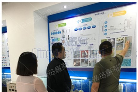 Indonesia Power Plant Group Customer Visiting Our Company