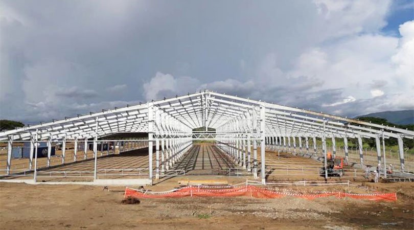 Papua New Guinea cowshed