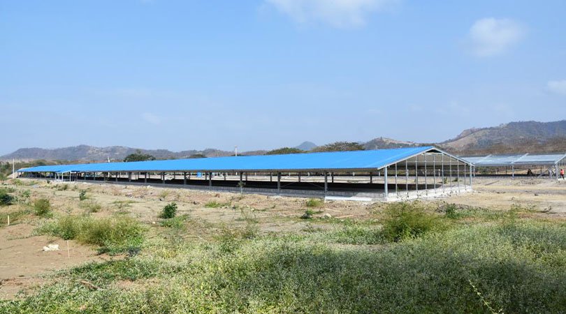 Ecuador Broiler Chicken House