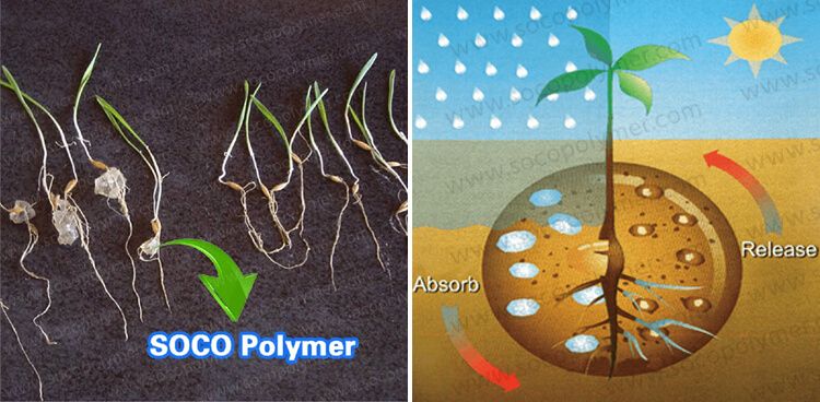agricultural polyacrylate used for water retaining