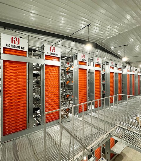 H 型蛋鸡笼养设备