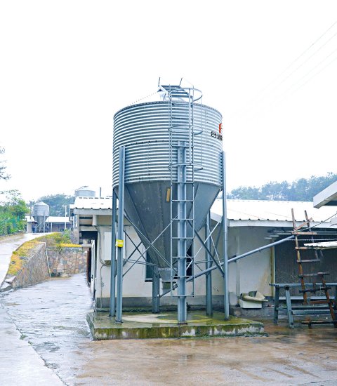 料塔及绞龙输送系统