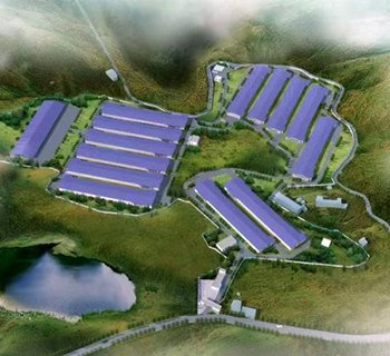 肉鸡平养设备项目案例