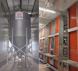 石家庄蛋鸡养殖新里程碑，青岛合源机械2栋8层笼养设备交付啦！