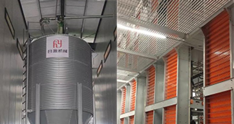 石家庄蛋鸡养殖新里程碑，青岛合源机械2栋8层笼养设备交付啦！