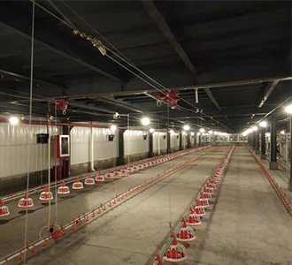 扎根沃土，羽翼齐飞！合源机械贵州13栋2层肉鸡平养项目圆满交付！