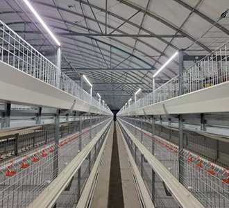 智造新篇，鸭鸣泰兴！合源机械2栋3层肉鸭笼养设备顺利交付！