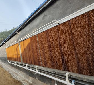 湘乡沃土添新翼，合源智造助腾飞！3栋肉鸡平养设备圆满交付！