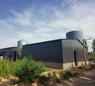 蛋鸡“安居”，智造未来！合源机械4层笼养系统闪耀衡水！