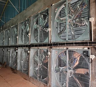 青岛合源跨省协作，为浏阳现代化养殖提供“硬核”支撑