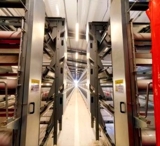 匠心育雏，智启未来：全自动育雏设备成功交付河北