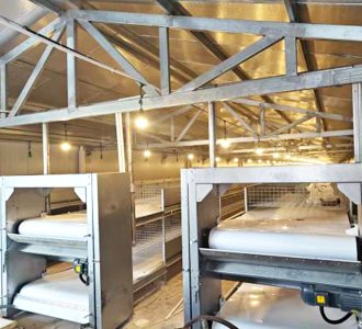 再启合作新篇：定制化肉鸽灌喂舍成功交付湖南，助力精细化养殖再升级