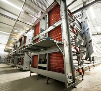 深耕齐鲁，服务桑梓：青岛合源机械岛城蛋鸡项目成功交付