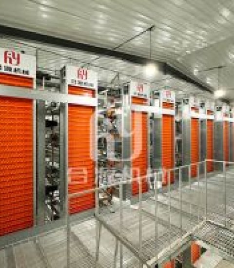 H-type layer hen cage rearing equipment