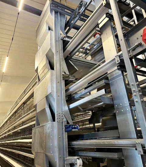 Laying Duck Cage Equipment Manufacturer | Duck Layer System