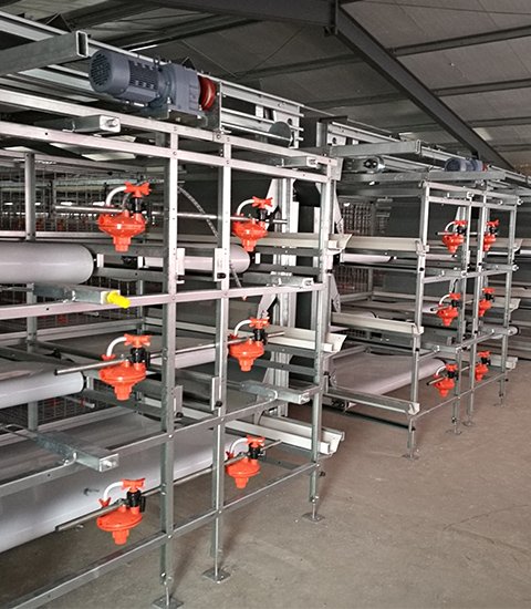 H-type broiler cage equipment -split cage