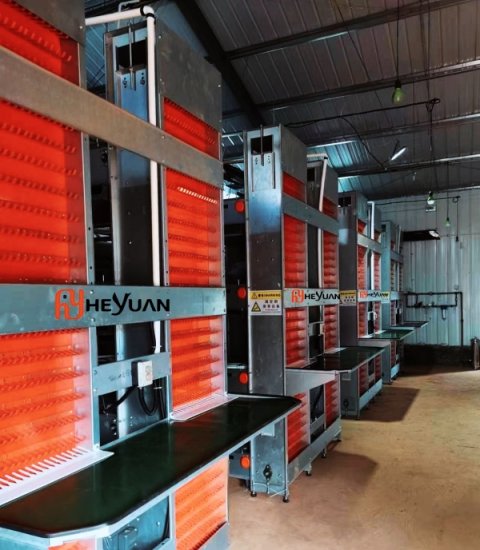 H-type layer hen cage rearing equipment