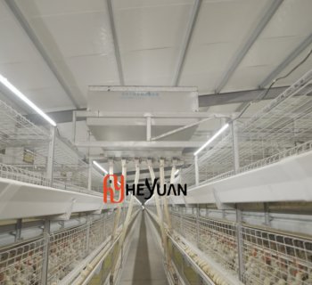 Repeat Customer Expands Production with a New 34,560 Birds H Type Broiler Cage Project