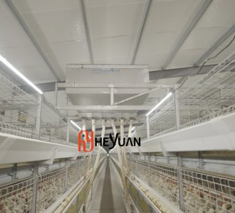 Repeat Customer Expands Production with a New 34,560 Birds H Type Broiler Cage Project