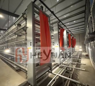 How to Reduce Labor Cost in Poultry Farming Without Sacrificing Productivity