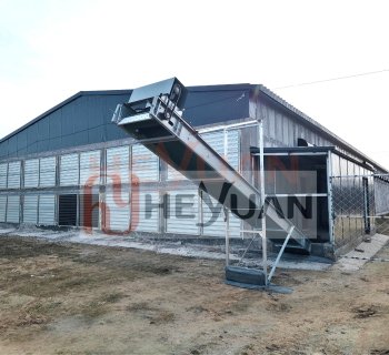 Customer Successfully Installed H Type Layer Cage System for Efficient Layer Farm Management