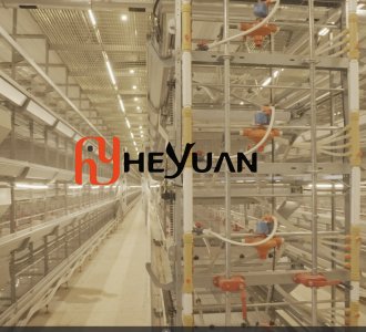5 Rows × 7 Tiers Pullet Cage System | OEM Poultry Equipment Manufacturer