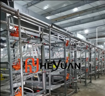 H Type Broiler Cage Equipment Manufacturer in Qingdao, China | Automatic Poultry Farming Solution