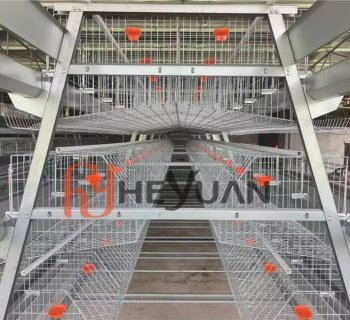 Automatic A Type Layer Cage Installation with Enhanced Corrosion Resistance | Heyuan Poultry Equipment Project