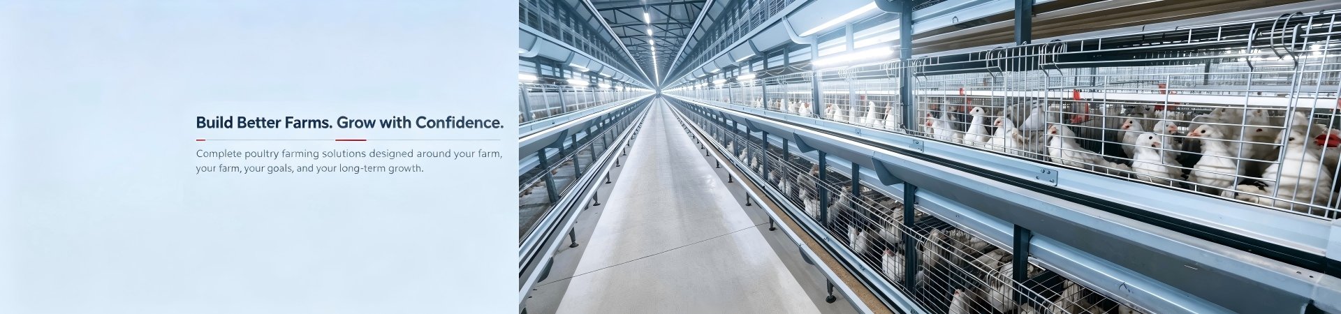 pullet-cage-equipment-supplier