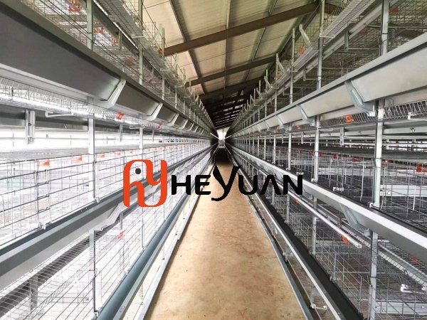 H Type Layer Cage 