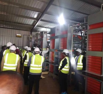 H Type Layer Cage Projects | Real Commercial Poultry Farm Cases| Heyuan