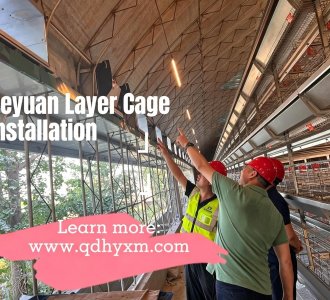 Heyuan Layer Cage Project | On-Site Installation of a Commercial Poultry Farming System