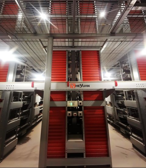 Automatic Egg Collection System – Egg Collection Belt