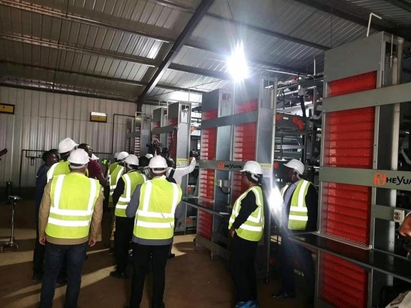 Layer cage project in Africa from Heyuan