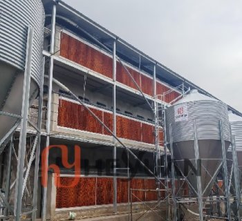 Automatic 3-Tier Floor Raising System Project for 58320 Broilers