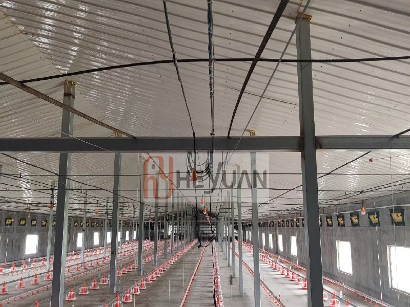 automatic broiler floor raising equipment