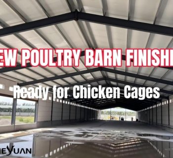 Steel Structure Poultry House Project | Farm Equipment Solution | Heyuan