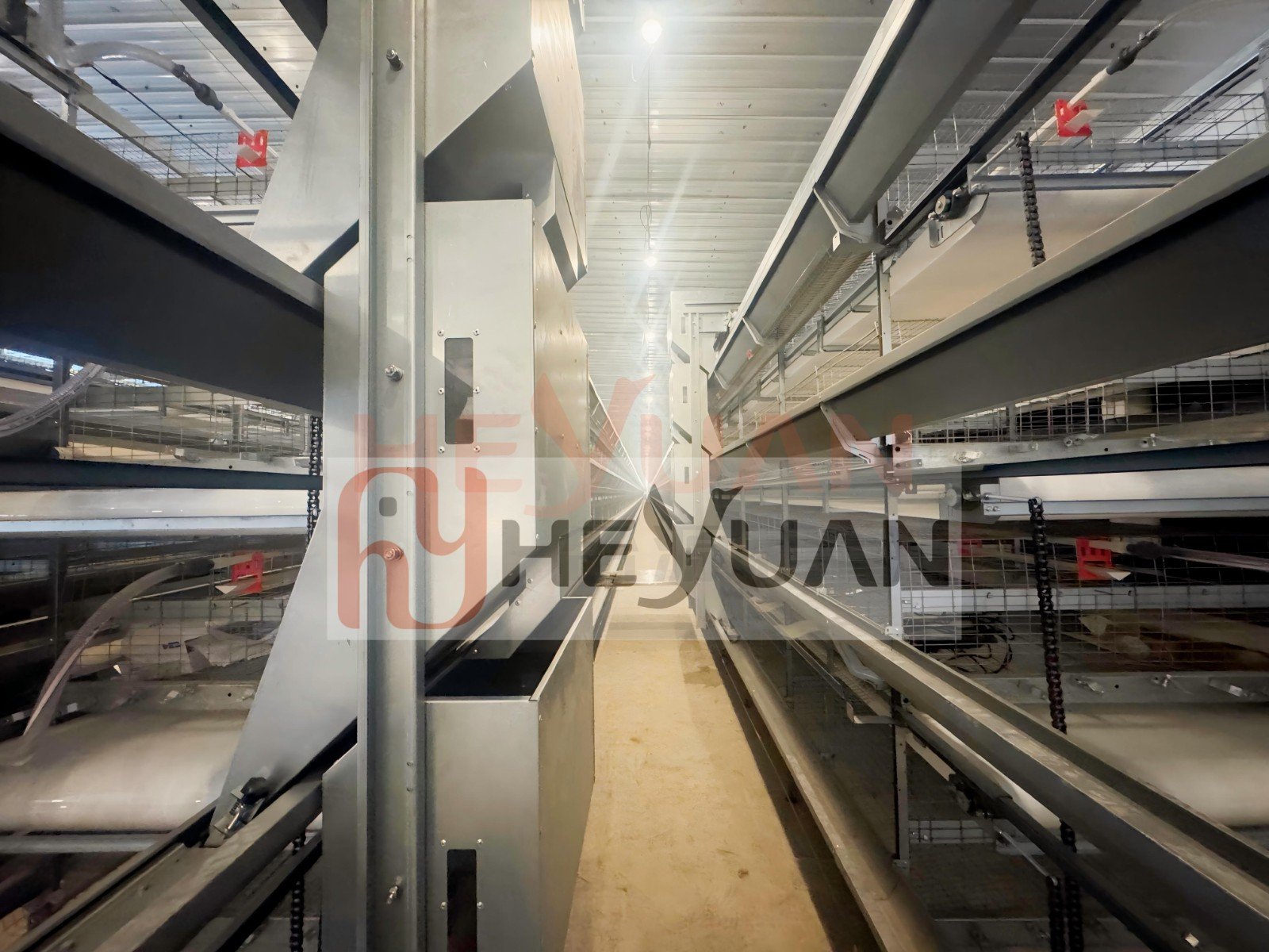 H type layer cage from heyuan