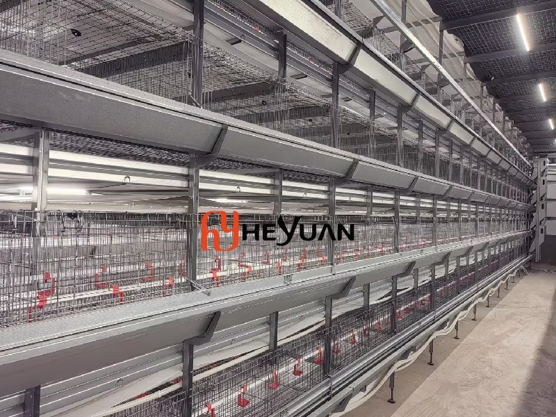 heyuan pullet cage