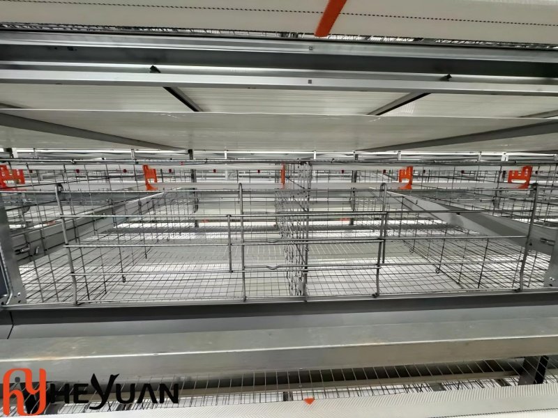 Heyuan layer cage
