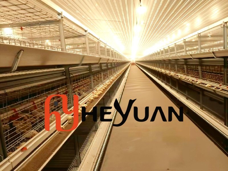 Heyuan broiler cage