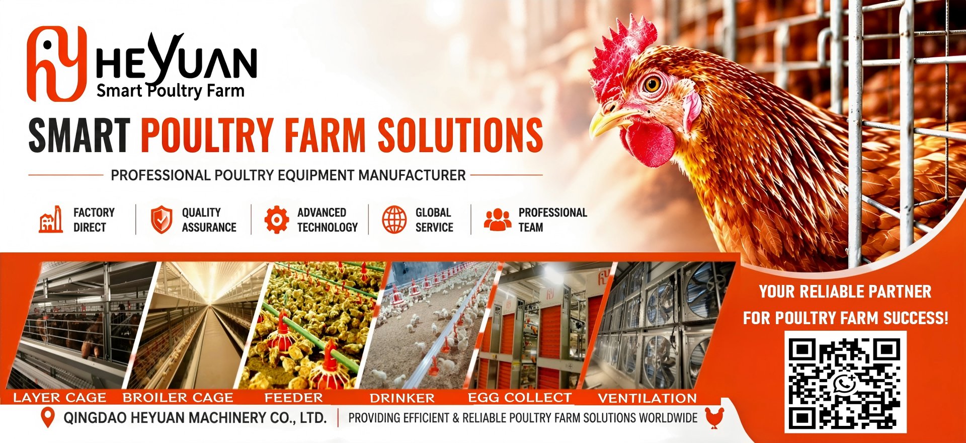 Automated Poultry Equipment Manufacturer & Supplier | Heyuan