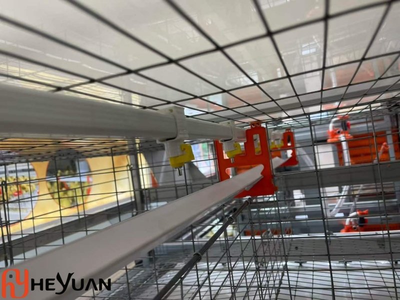 heyuan automatic drinking system in layer cage