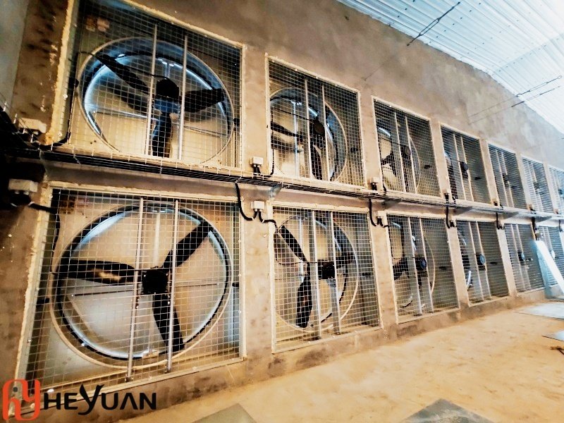 Ventilation sytem in layer house from Heyuan