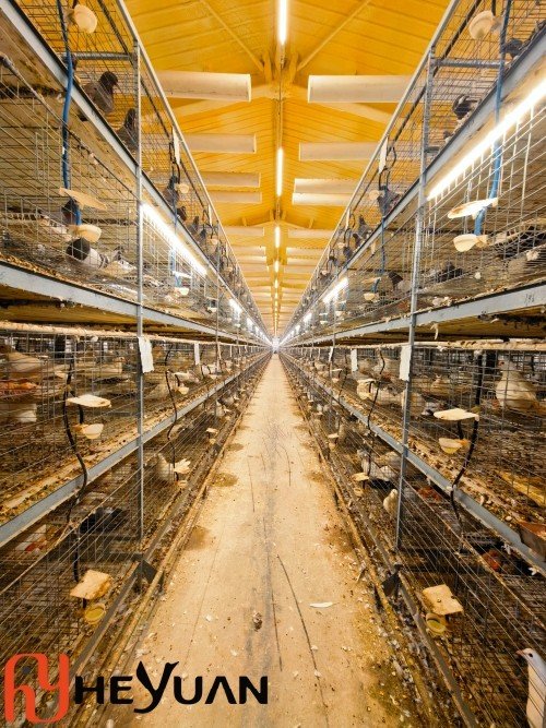 breeding pigeon cage from Heyuan