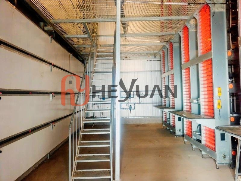commercial-layer-farm-cage-layout