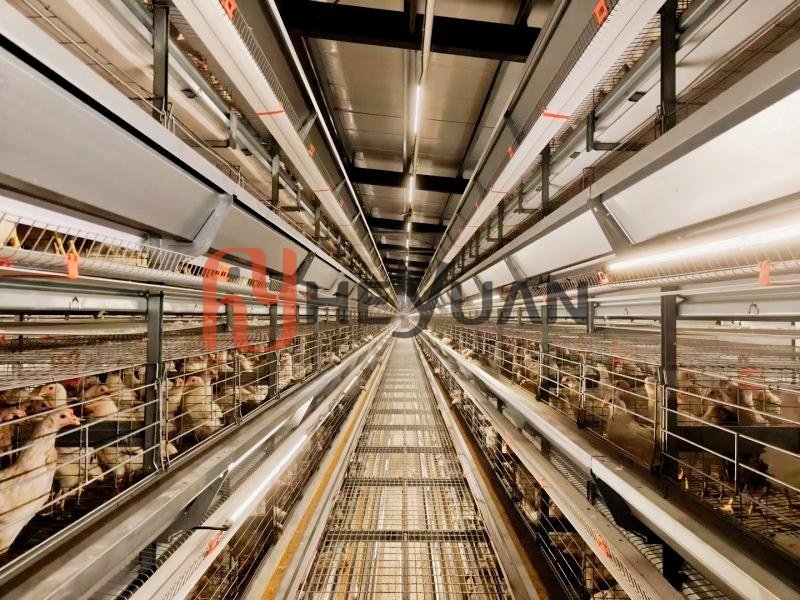 8-tier-layer-cage-equipment-detail