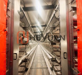 8-Tier 8-Tiers Layer Cage System: Why Our Customer Chose Heyuan Again